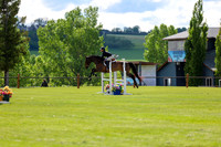 02639 - Shea - 2026 June Classic I - Saturday June 13th