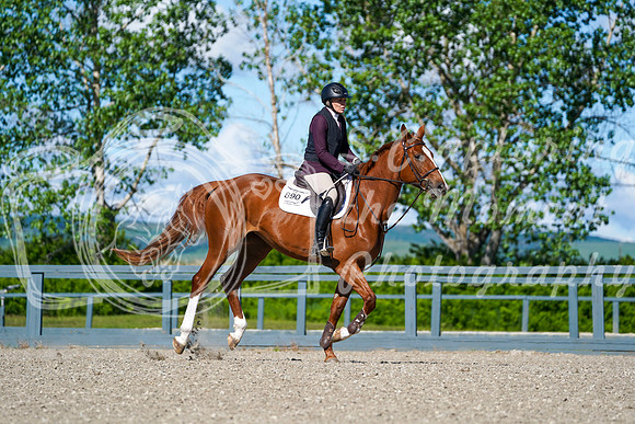 00719 - Alina - 2026 June Classic I - Saturday June 13th