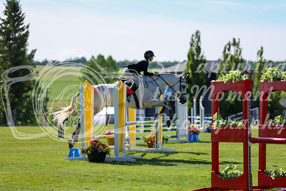 01915 - Shea - 2026 June Classic I - Saturday June 13th