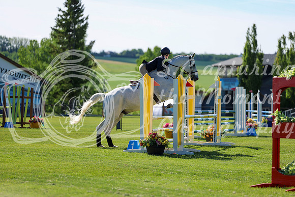 02039 - Shea - 2026 June Classic I - Saturday June 13th