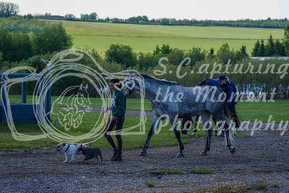 00946 - Alina - 2026 June Classic I - Saturday June 13th