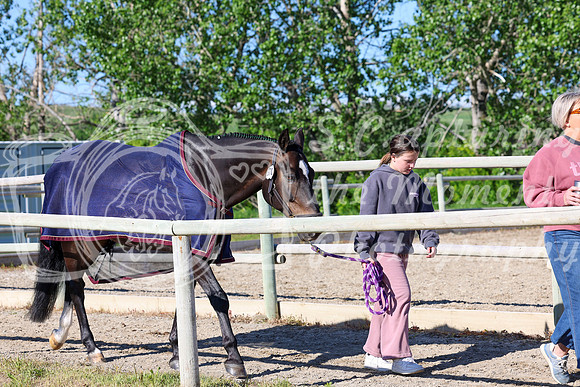 01457 - Shea - 2026 June Classic I - Saturday June 13th