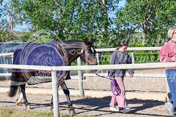 01458 - Shea - 2026 June Classic I - Saturday June 13th