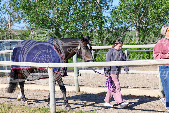01459 - Shea - 2026 June Classic I - Saturday June 13th