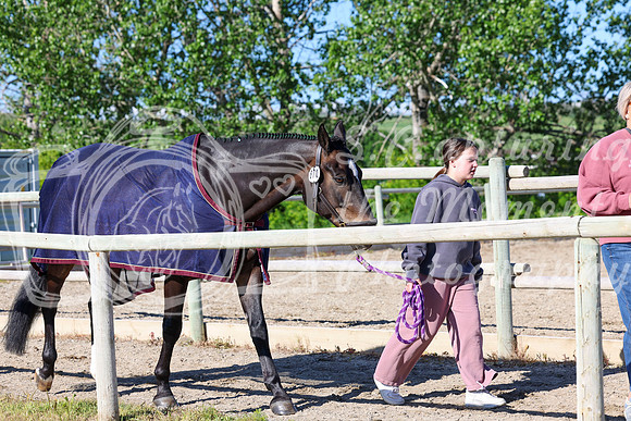 01462 - Shea - 2026 June Classic I - Saturday June 13th