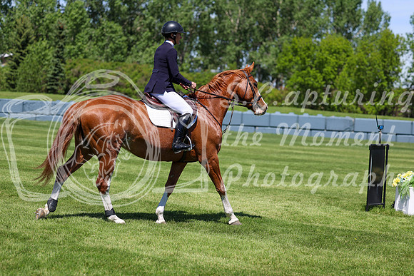 09082 - Shea - 2026 June Classic I - Saturday June 13th