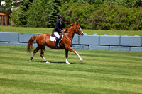 09091 - Shea - 2026 June Classic I - Saturday June 13th