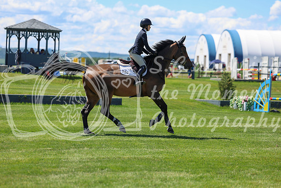 08996 - Shea - 2026 June Classic I - Saturday June 13th