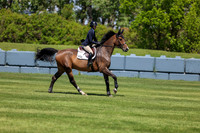 09005 - Shea - 2026 June Classic I - Saturday June 13th