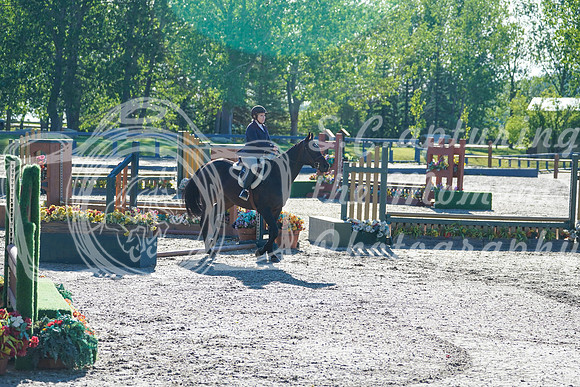 00291 - Alina - 2026 June Classic I - Saturday June 13th