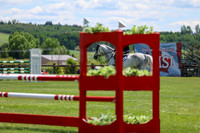 07946 - Shea - 2026 June Classic I - Saturday June 13th