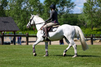 02953 - Shea - 2026 June Classic I - Saturday June 13th