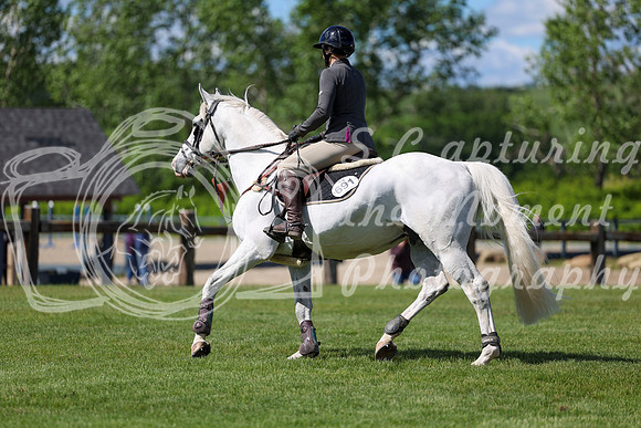 02954 - Shea - 2026 June Classic I - Saturday June 13th