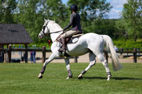 02955 - Shea - 2026 June Classic I - Saturday June 13th