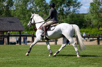 02956 - Shea - 2026 June Classic I - Saturday June 13th