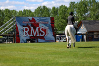 02959 - Shea - 2026 June Classic I - Saturday June 13th