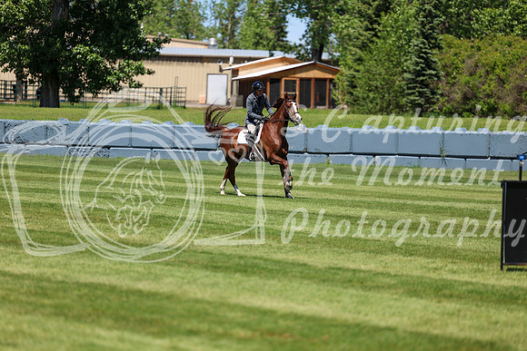 08823 - Shea - 2026 June Classic I - Saturday June 13th