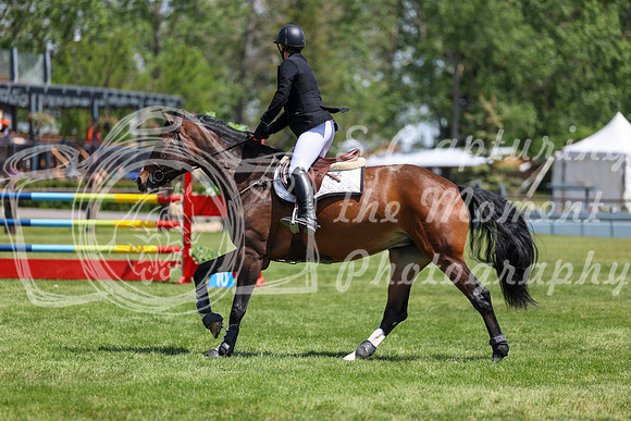 07785 - Shea - 2026 June Classic I - Saturday June 13th