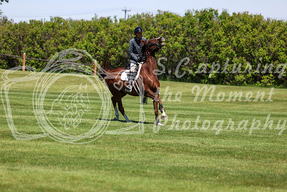 08834 - Shea - 2026 June Classic I - Saturday June 13th