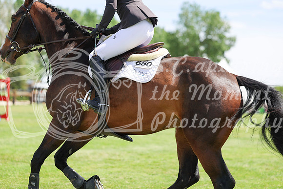 03927 - Shea - 2026 June Classic I - Saturday June 13th