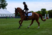 03799 - Shea - 2026 June Classic I - Saturday June 13th
