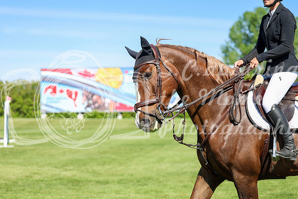 13537 - Shea - 2026 June Classic I - Saturday June 13th
