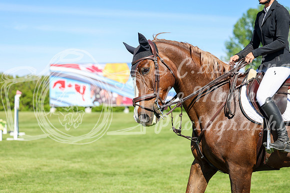 13538 - Shea - 2026 June Classic I - Saturday June 13th