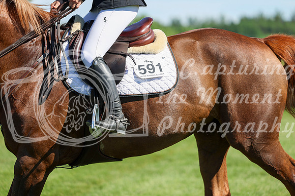 13534 - Shea - 2026 June Classic I - Saturday June 13th