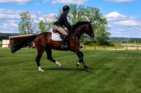 03115 - Shea - 2026 June Classic I - Saturday June 13th