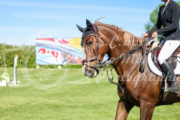 13539 - Shea - 2026 June Classic I - Saturday June 13th