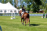 13541 - Shea - 2026 June Classic I - Saturday June 13th