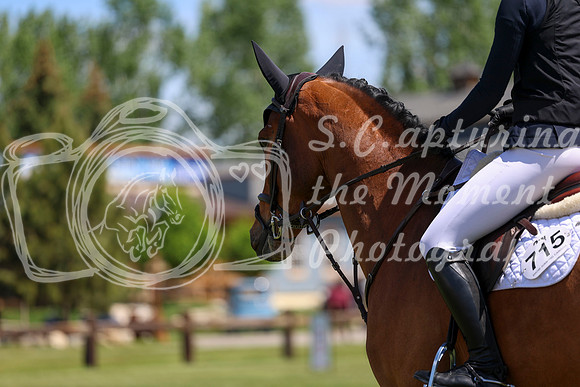 07450 - Shea - 2026 June Classic I - Saturday June 13th