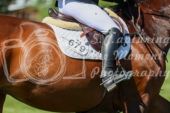 13029 - Shea - 2026 June Classic I - Saturday June 13th