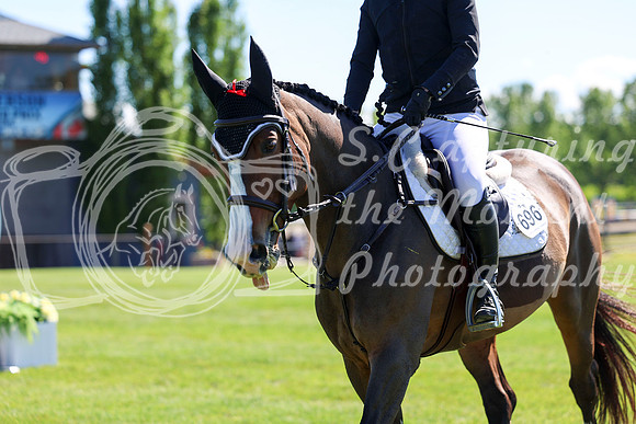 13042 - Shea - 2026 June Classic I - Saturday June 13th