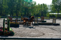 00311 - Alina - 2026 June Classic I - Saturday June 13th