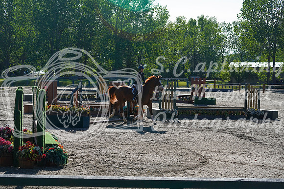 00311 - Alina - 2026 June Classic I - Saturday June 13th