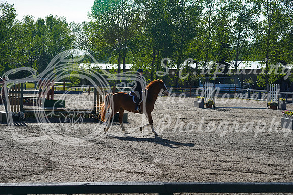 00312 - Alina - 2026 June Classic I - Saturday June 13th