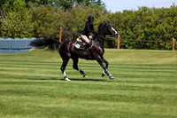 08678 - Shea - 2026 June Classic I - Saturday June 13th