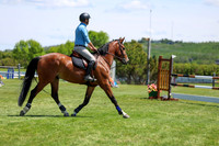 08017 - Shea - 2026 June Classic I - Saturday June 13th
