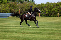 08679 - Shea - 2026 June Classic I - Saturday June 13th