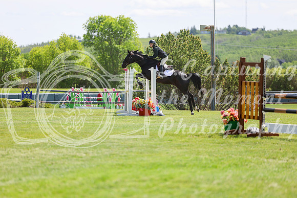 03313 - Shea - 2026 June Classic I - Saturday June 13th