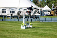 13133 - Shea - 2026 June Classic I - Saturday June 13th