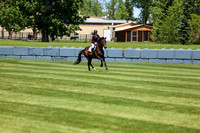 08538 - Shea - 2026 June Classic I - Saturday June 13th