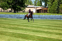 08537 - Shea - 2026 June Classic I - Saturday June 13th