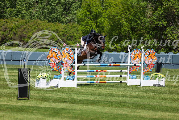 08381 - Shea - 2026 June Classic I - Saturday June 13th
