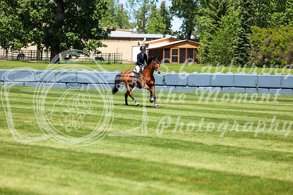 08448 - Shea - 2026 June Classic I - Saturday June 13th
