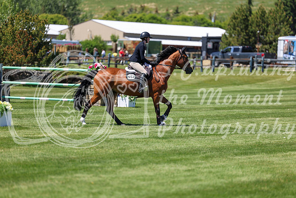 08447 - Shea - 2026 June Classic I - Saturday June 13th