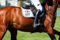 13636 - Shea - 2026 June Classic I - Saturday June 13th