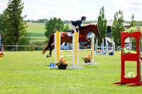 04021 - Shea - 2026 June Classic I - Saturday June 13th