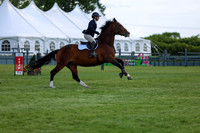 03974 - Shea - 2026 June Classic I - Saturday June 13th